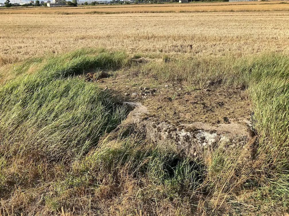 Schrony na Garaszewie