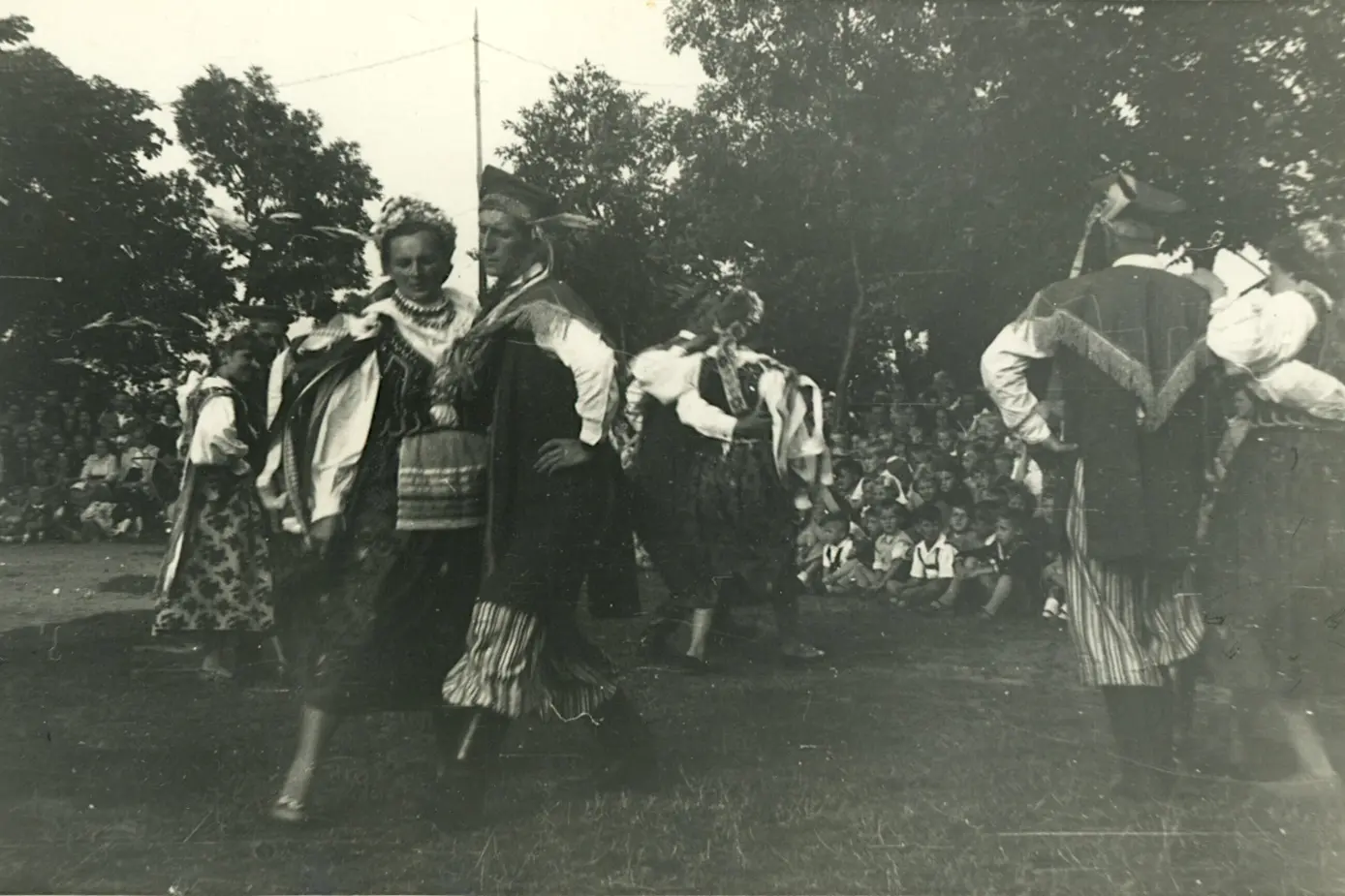 Ugorek w Krzesinkach